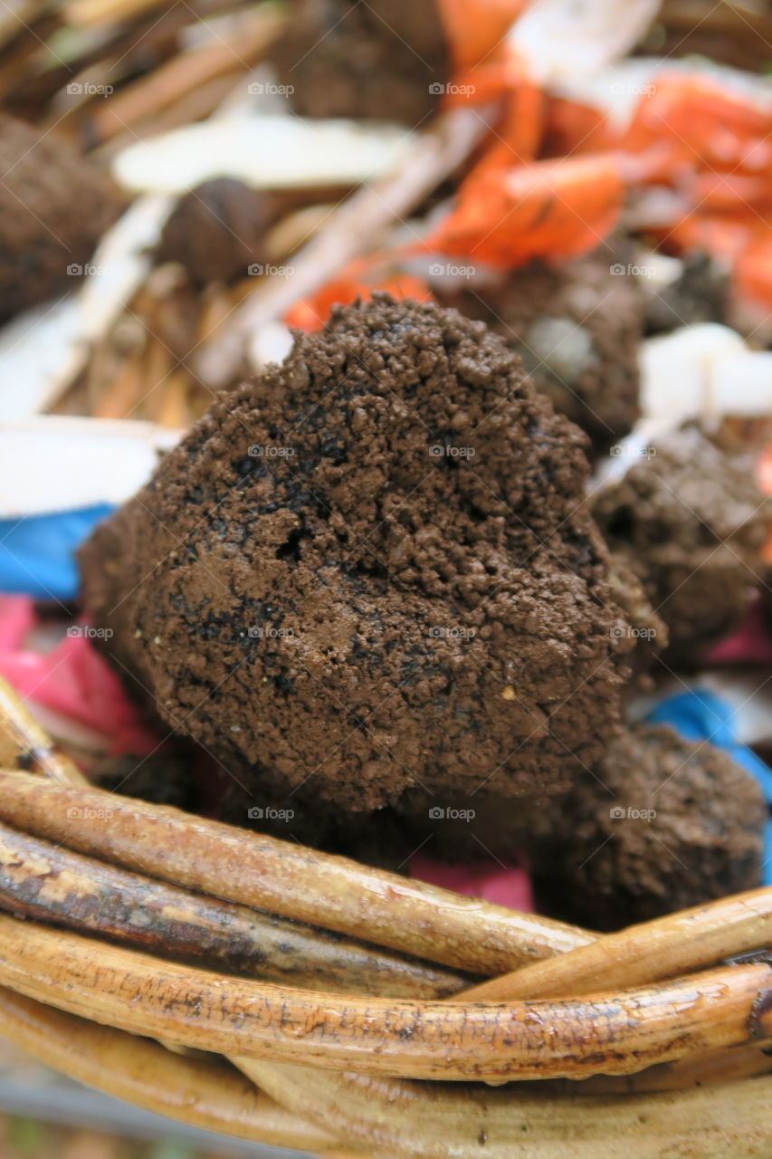 aromatic,Black truffle, perigord,Truffle time, food, kitchen, home cooked, gourmet, Black truffle, perigord,Truffle time, food, kitchen, home cooked, truffles,  dirt, truffle with dirt, soil, basket, collect