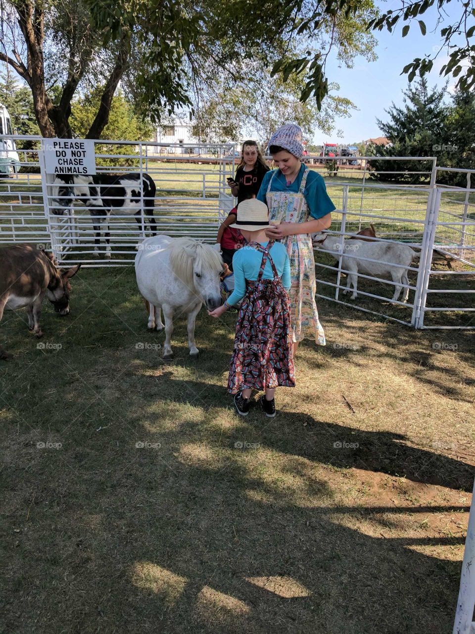 My two girls helping at a Kansas petting zoo for the Amish. Sunny, calm, kind, many.