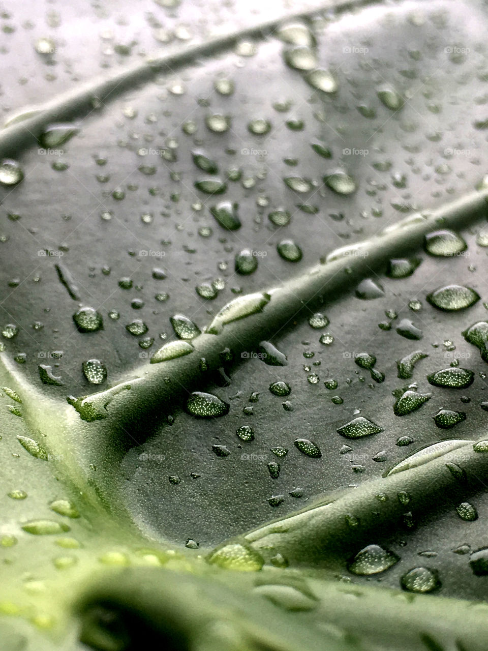 A little more than dew