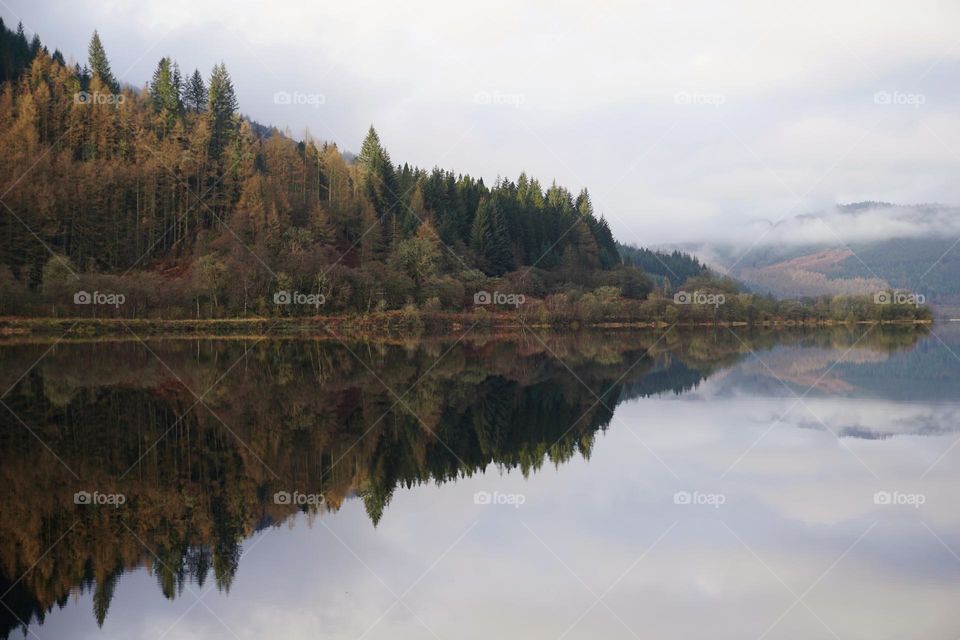 Magical Enchanted  Scottish Forest 🏴󠁧󠁢󠁳󠁣󠁴󠁿