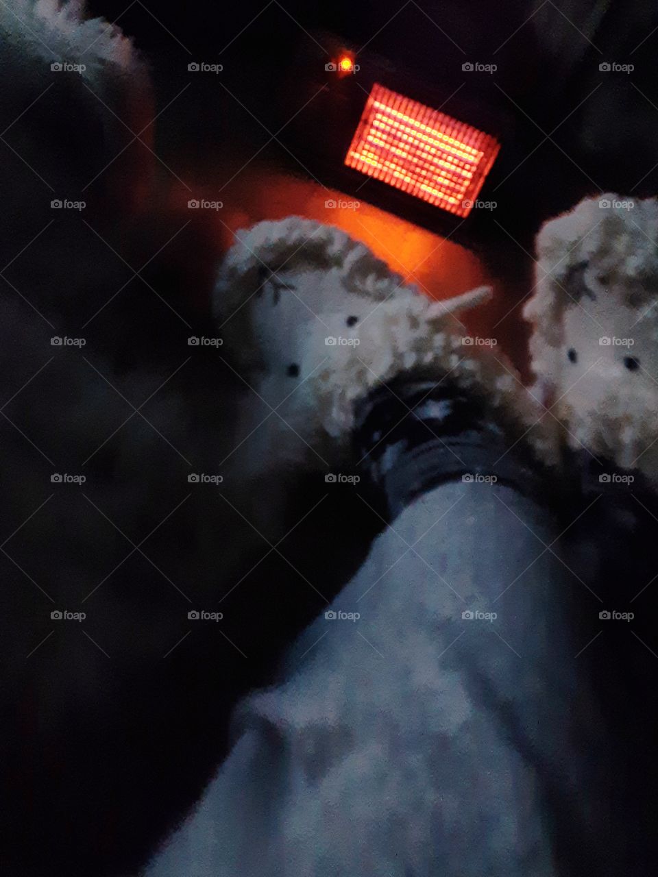 wool slippers extra warmth from heater and my dog snuggled close sign of winter