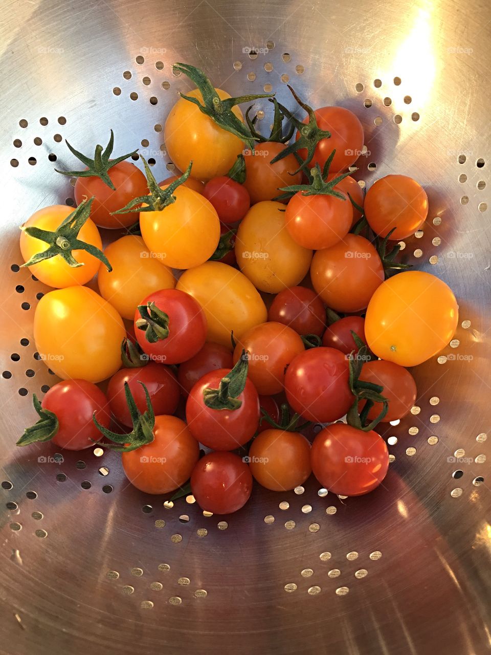 Home grown tomato selection. 