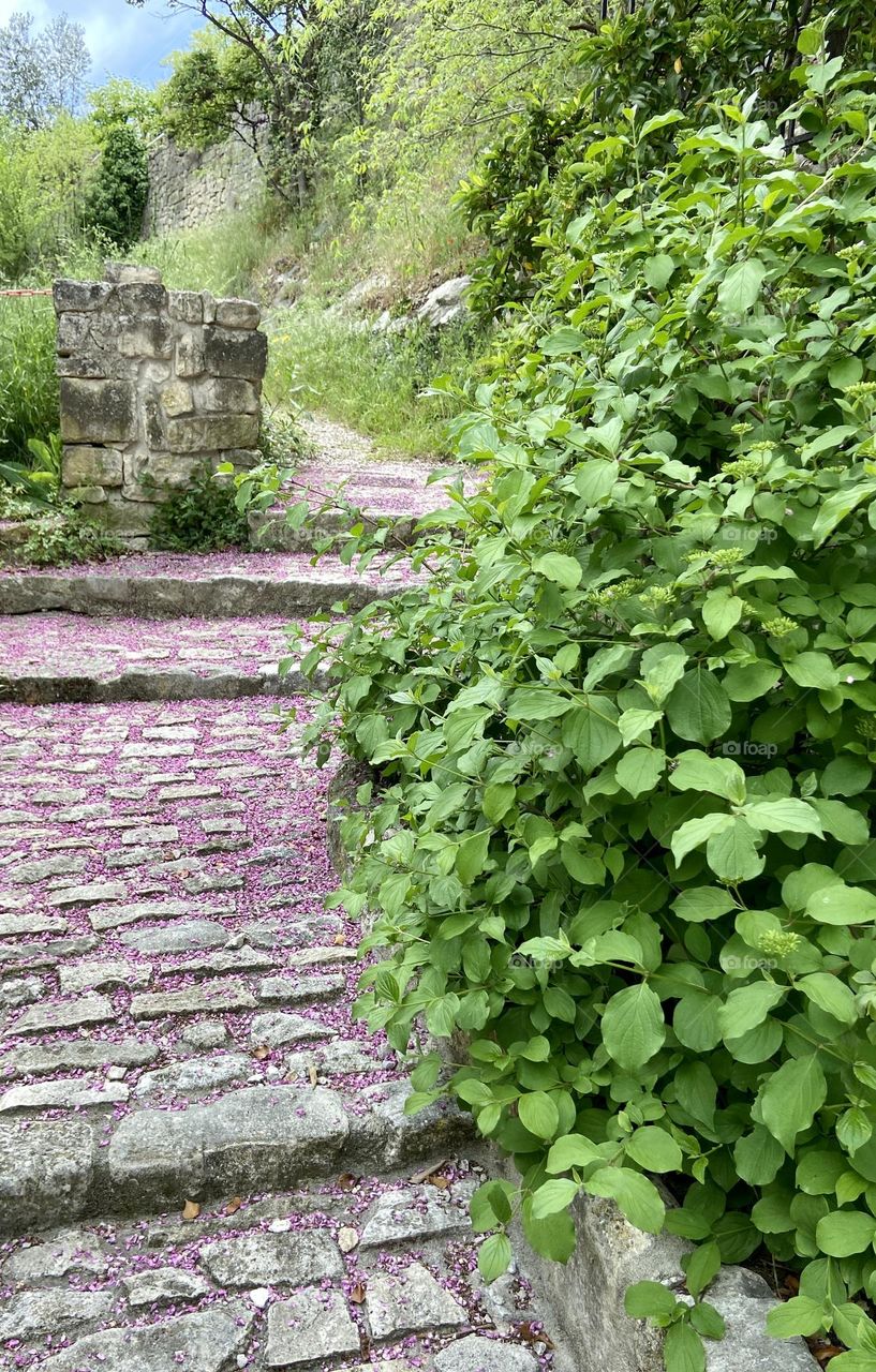 Cobble street covered of pink petals 