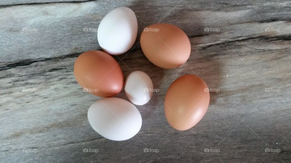eggs