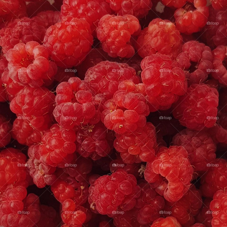 red raspberry closeup