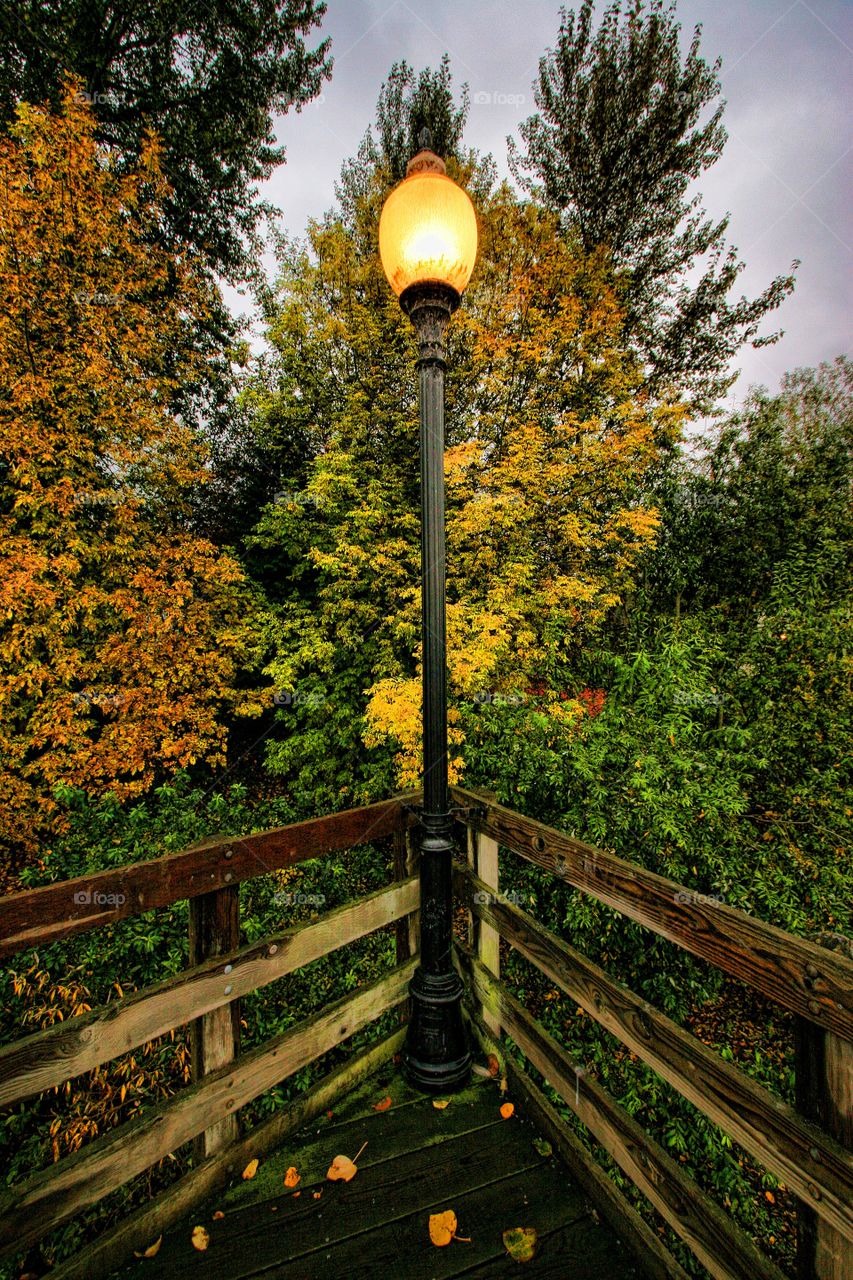 Lamppost