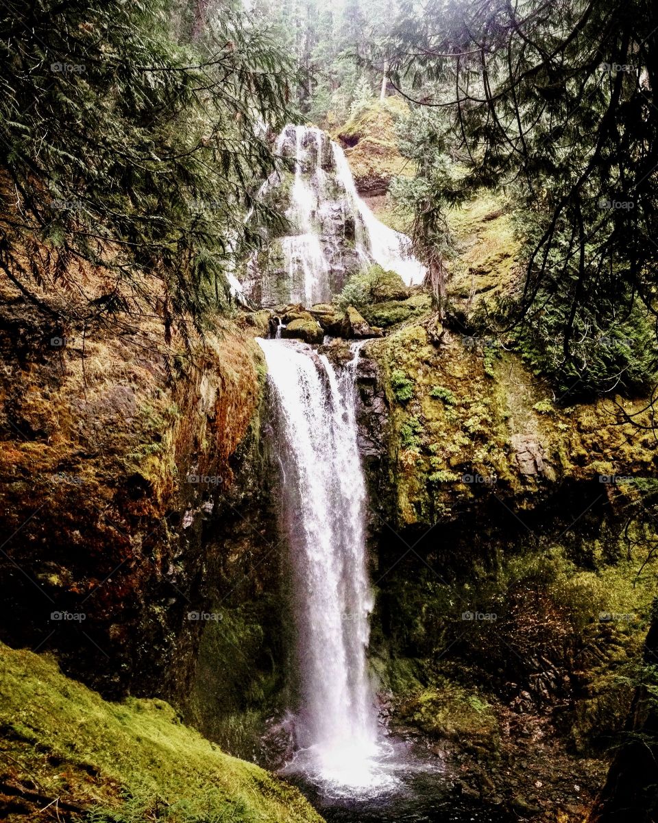 Waterfall on a hike in Oregon. Love the double falls here. How the moss is so lush and green at the bottom and the top falls are bouncing off the rocks in all different directions. 