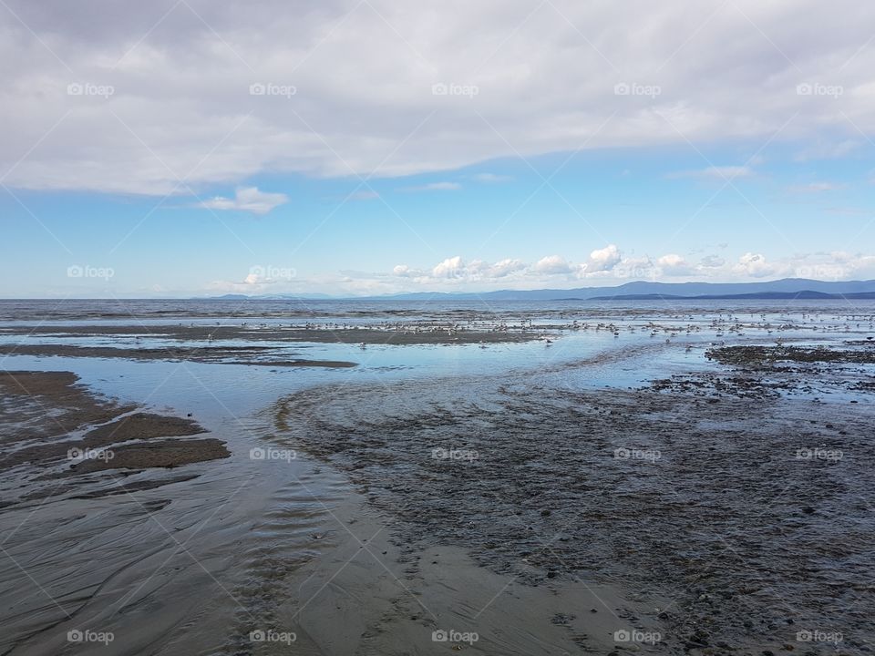 view from Parksville Beach, sand and sea water when tide is out, with blue sky and clouds on summer day, birds
