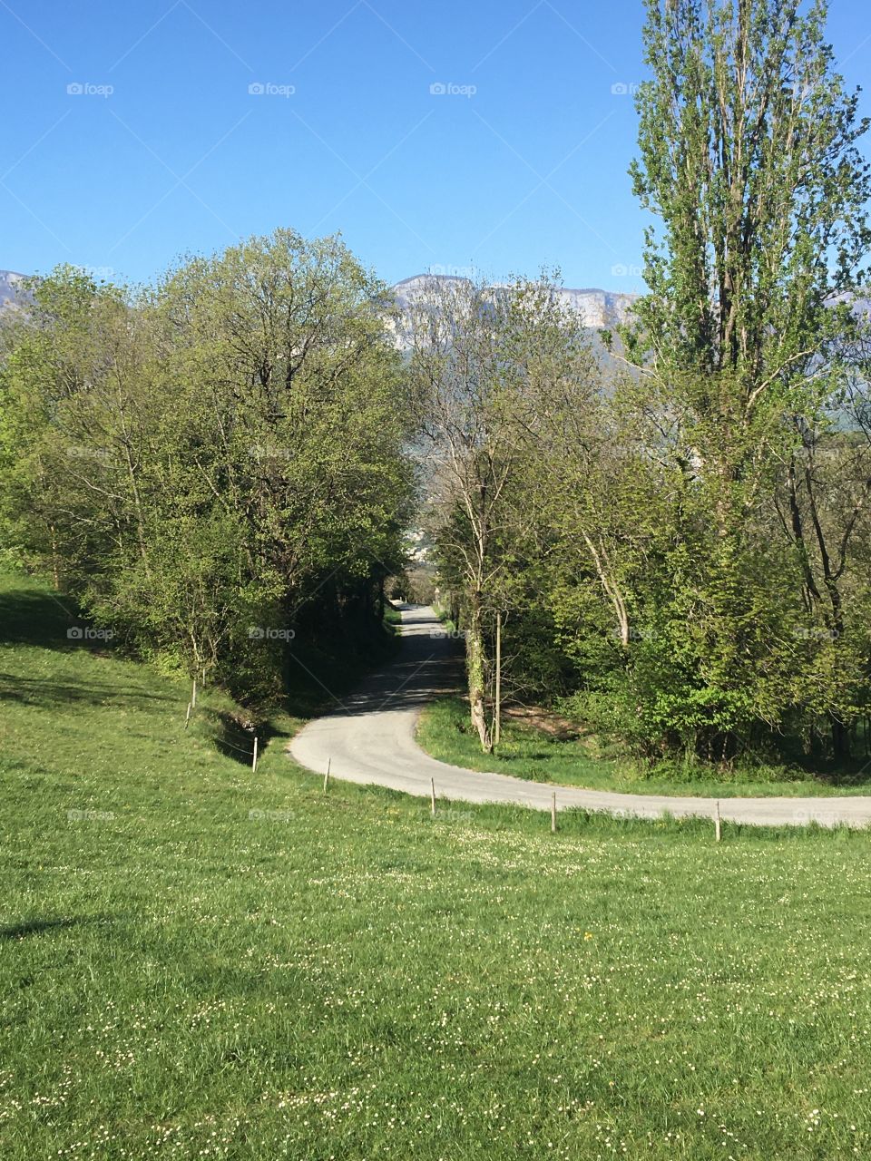 Empty road in countryside 