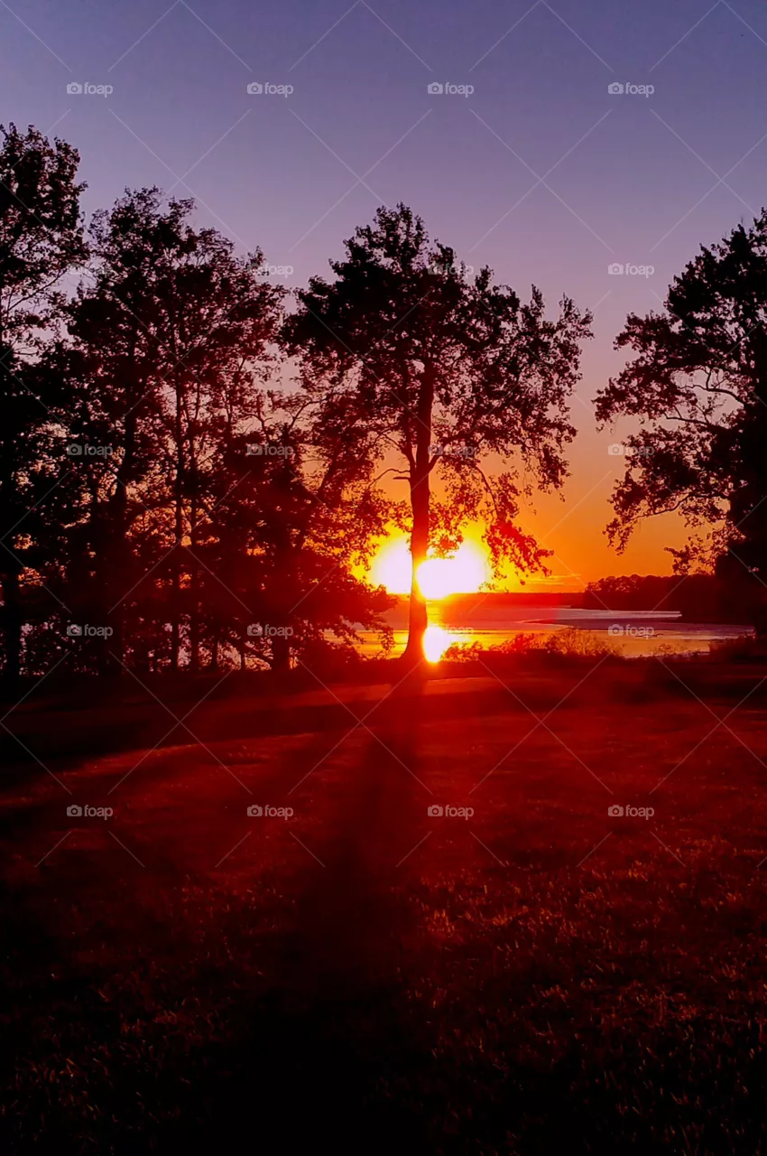 Sunset
