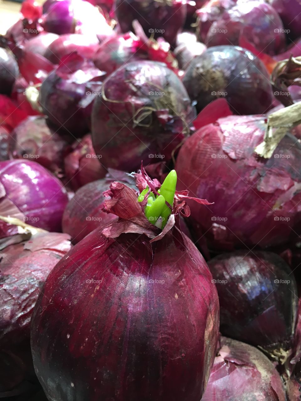 A different existence