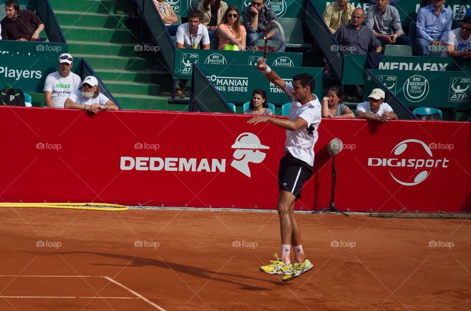 Victor Hanescu, BRD tennis Trophy 2014