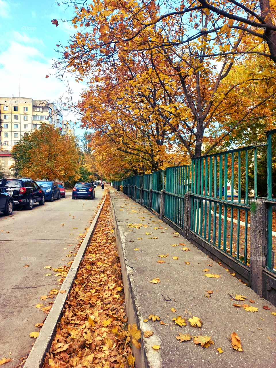 a quiet city street in October, a green fence stretches along the sidewalk, and yellow leaves lie on the ground...