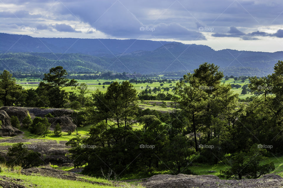 green lanscape