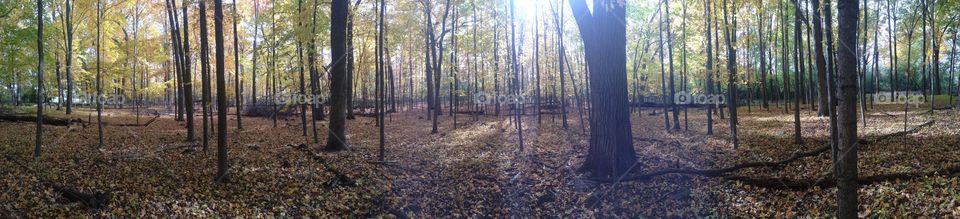 On the ride. On the bike path good enough to stop and shoot