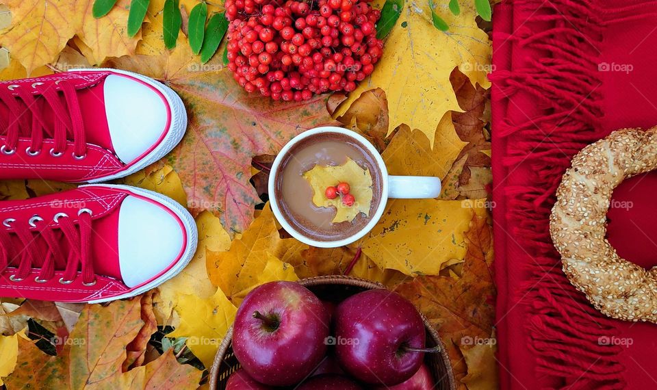 Picnic in autumn in the park🍁 Season 🍂 Autumn mood🍁