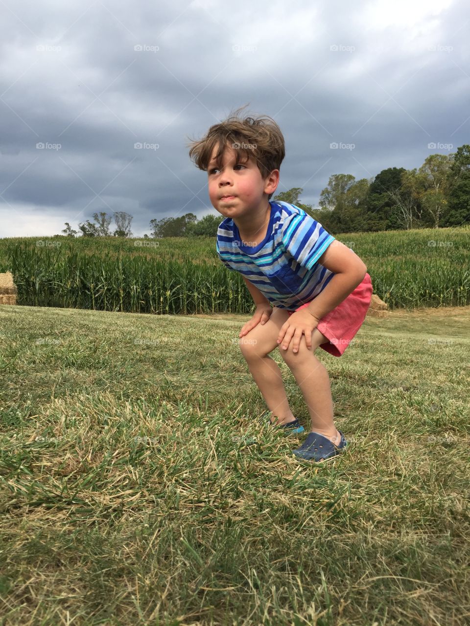 Boy Crouched in a Corn Field