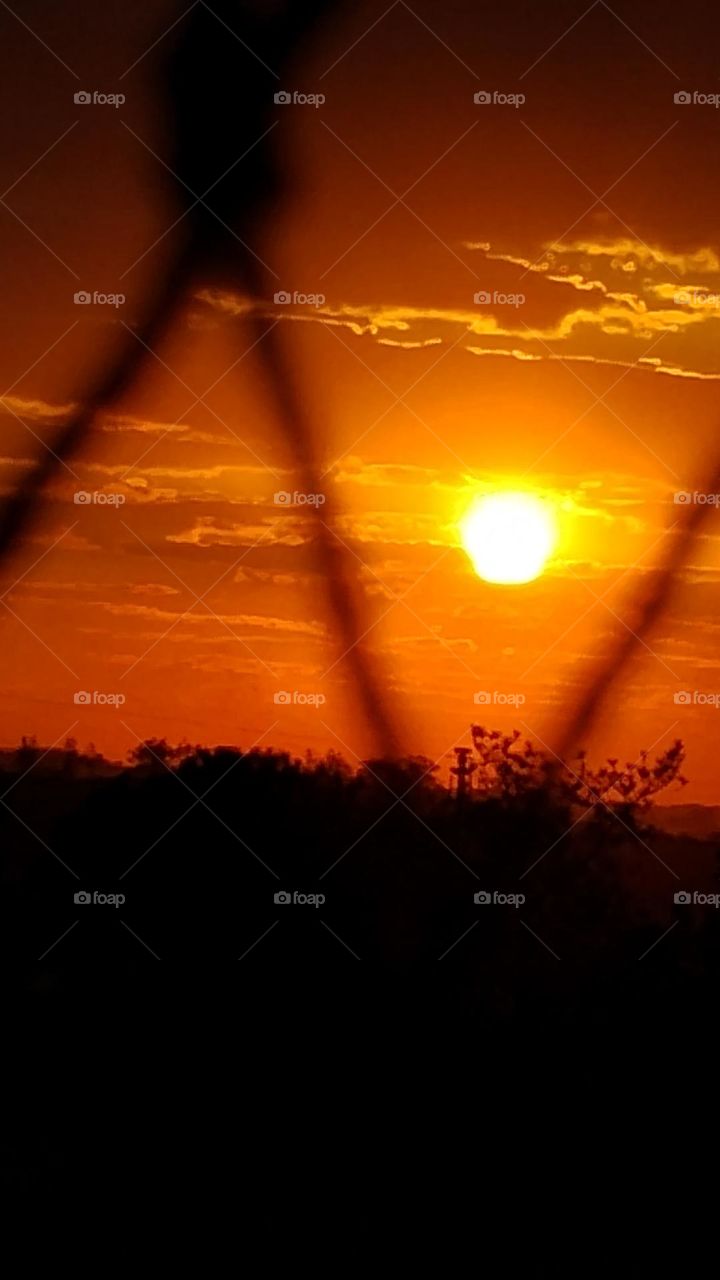 O "ocaso na Primavera", refere-se ao momento do pôr do Sol,  durante a estação da Primavera, os dias são  mais longos, e o ocaso ocorre mais tarde, é o momento em que o Sol desaparece no horizonte na direção oeste. Deixando um clima romântico e belo.