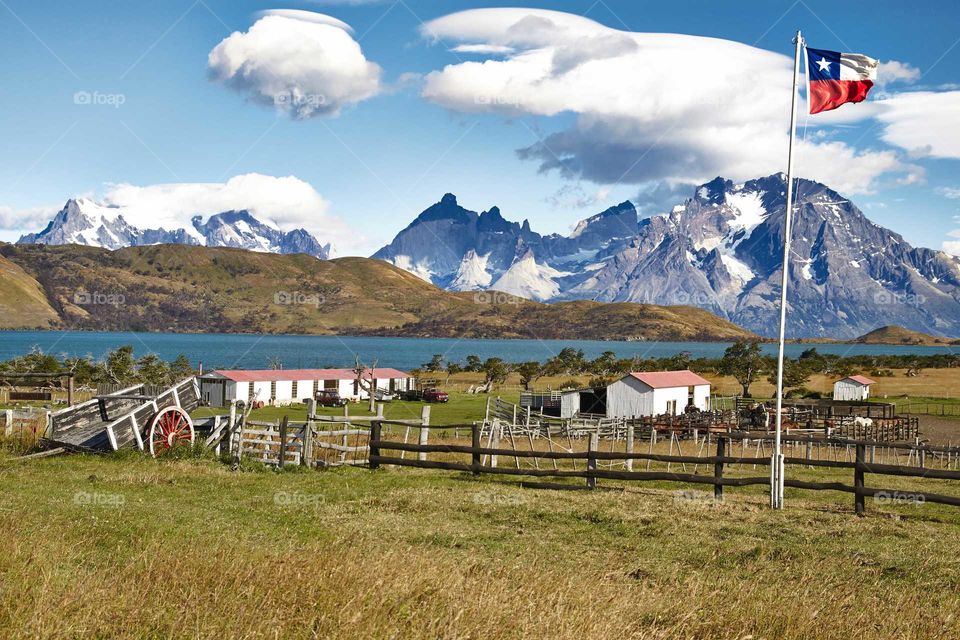 Farm in chile patagonia nature travel landscape
