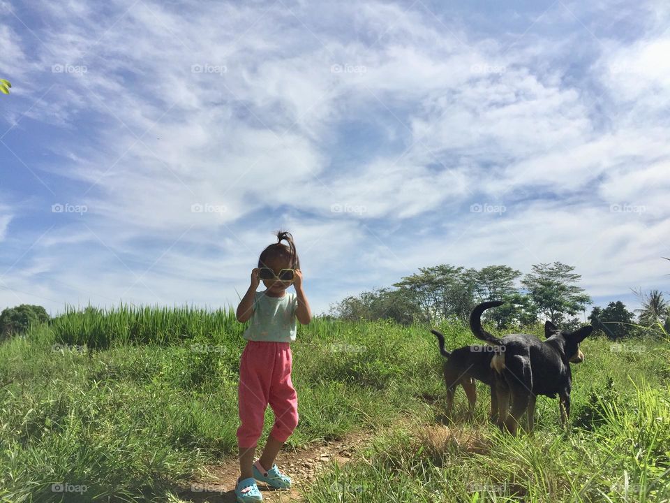 Little girl in the ricefield with two dogs 