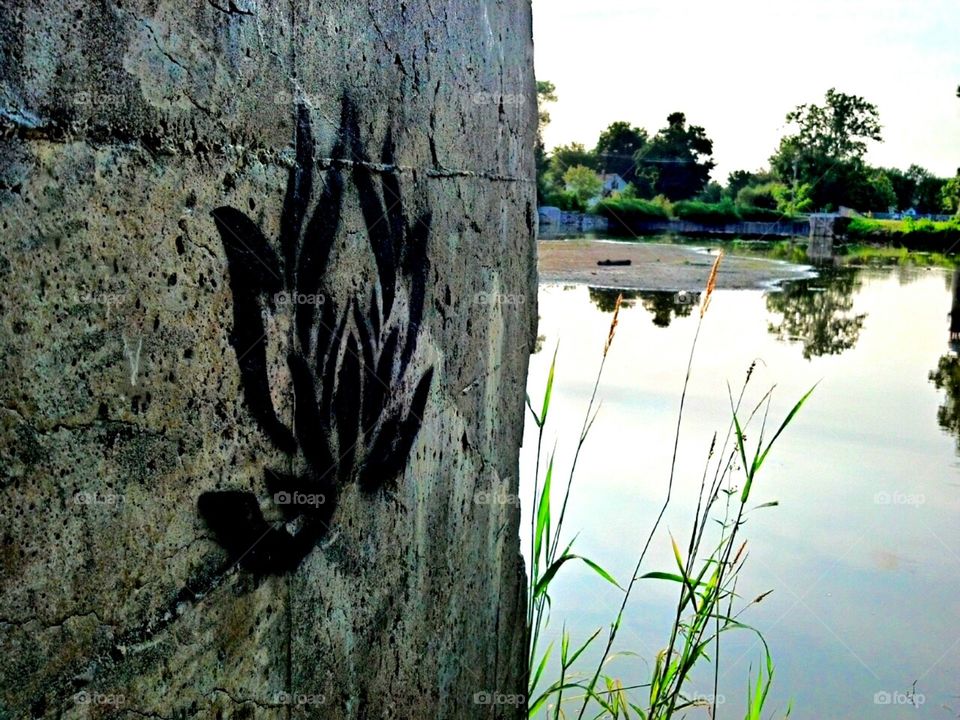 The Lotus of the Lake. I was walking and found this graffiti.
