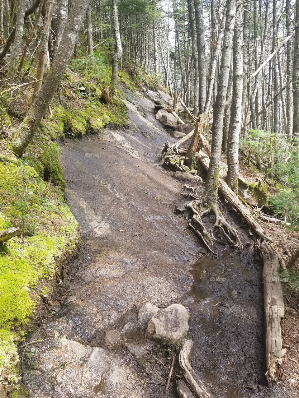 crooked trail