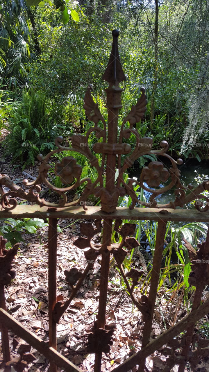 old rod iron gate closeup