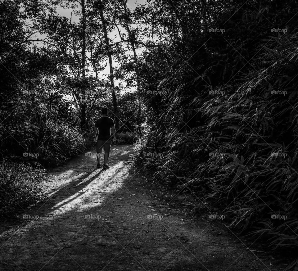 A Man hiking on reserve trail park while following the Path of the early Morning Sunlights. 