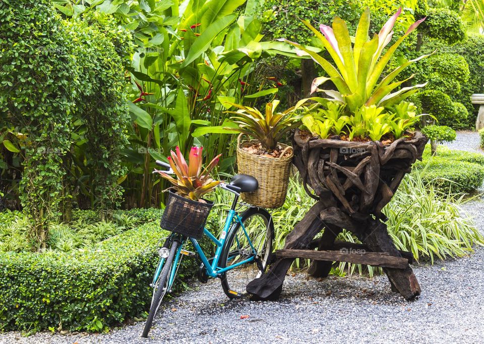 Bicycle decorated with plants