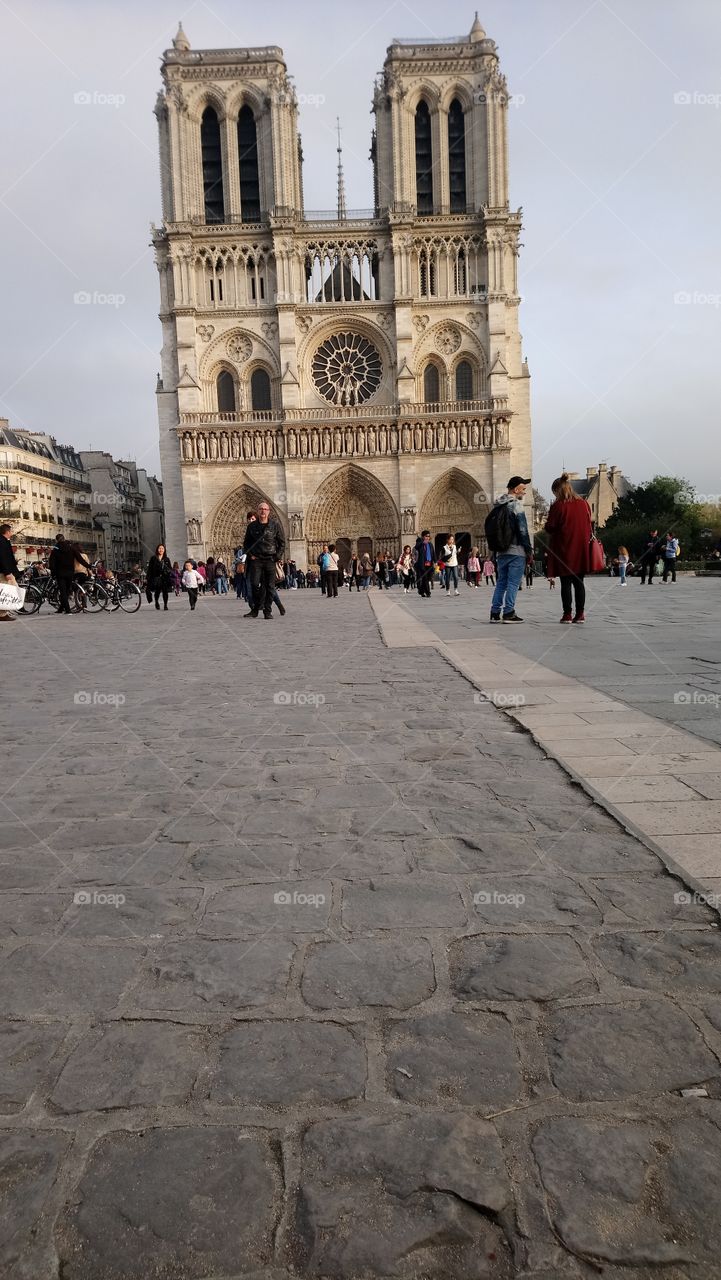 Paris Notre Dame