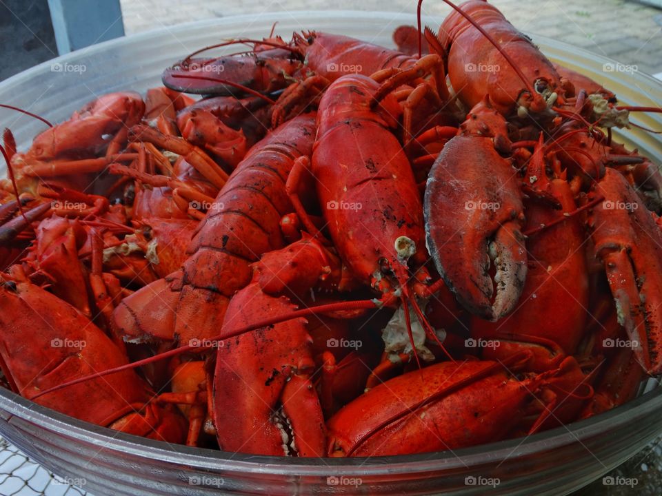 New England Lobster Bake
