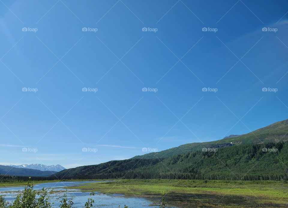 Reflections in standing water
