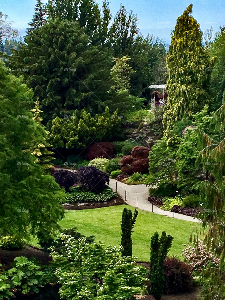 Beautiful Vancouver hike