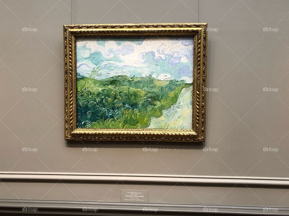 Gallery of Art Series