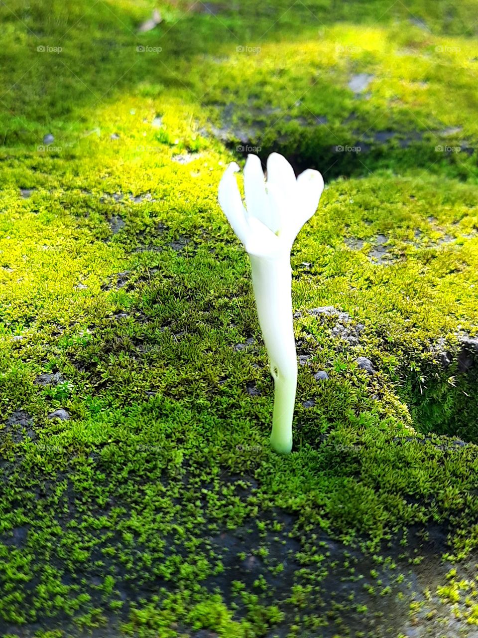 picture of small and beauty of namture captured by me