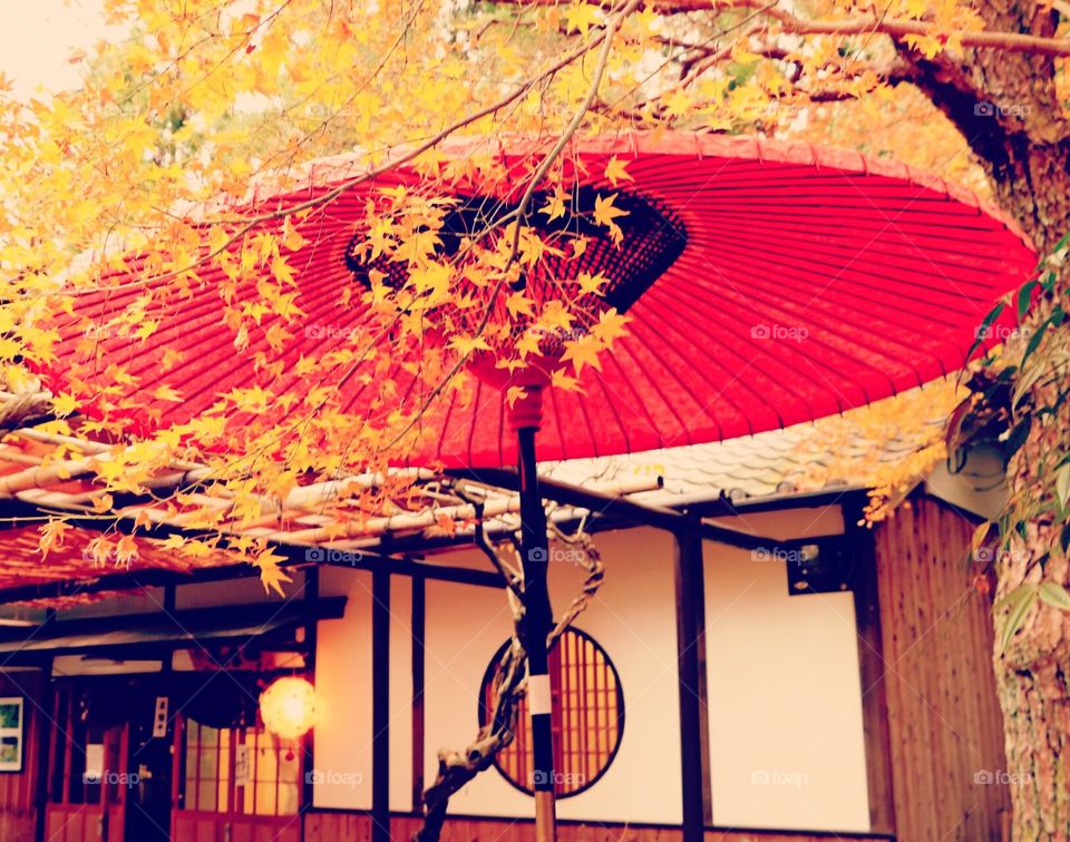 Outdoor Tea Ceremony Umbrella