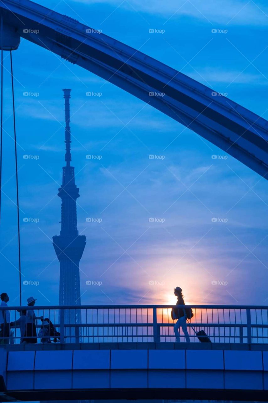 routine and habits of daily life