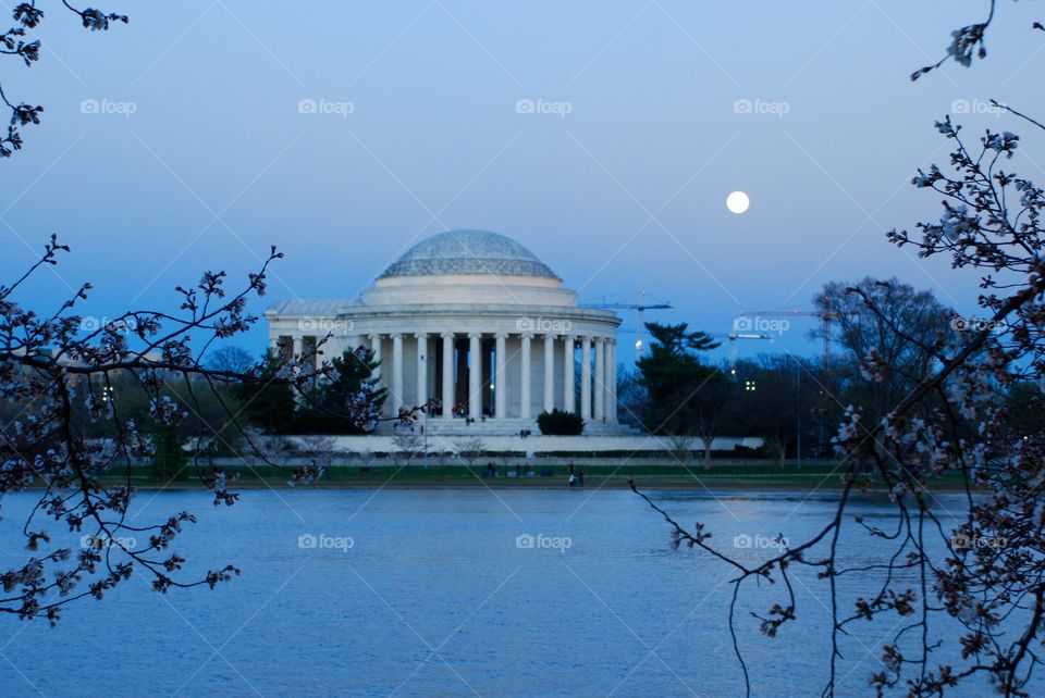 Jefferson Memorial in the spring with cherry blossom buds 
