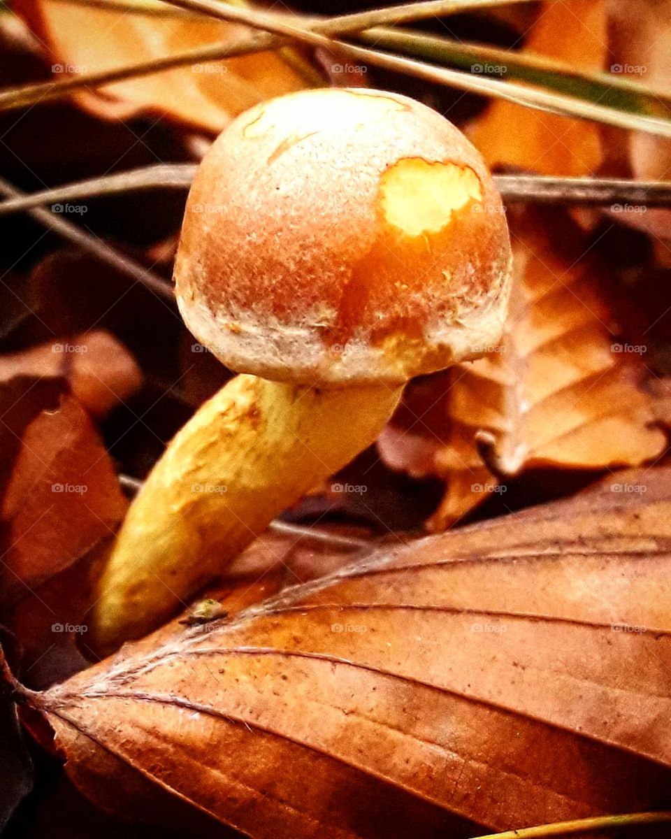 Somebody had dinnered before me.