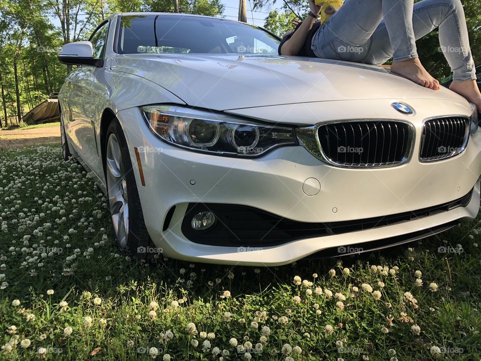 laying on a bmw in the sun enjoying an afternoon while staring at the weeds we sometimes call flowers 