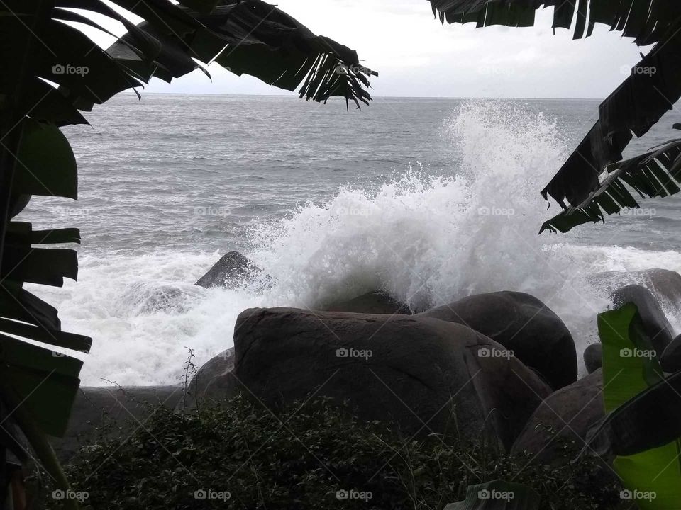 Uma fúria da natureza