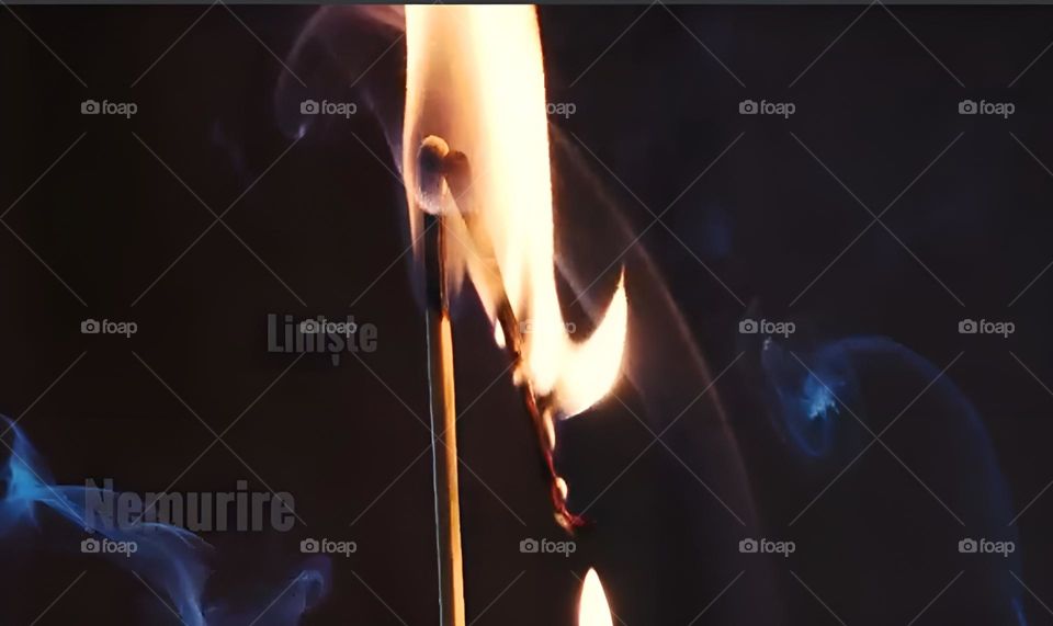 Liniște, fluturi, nemurire.