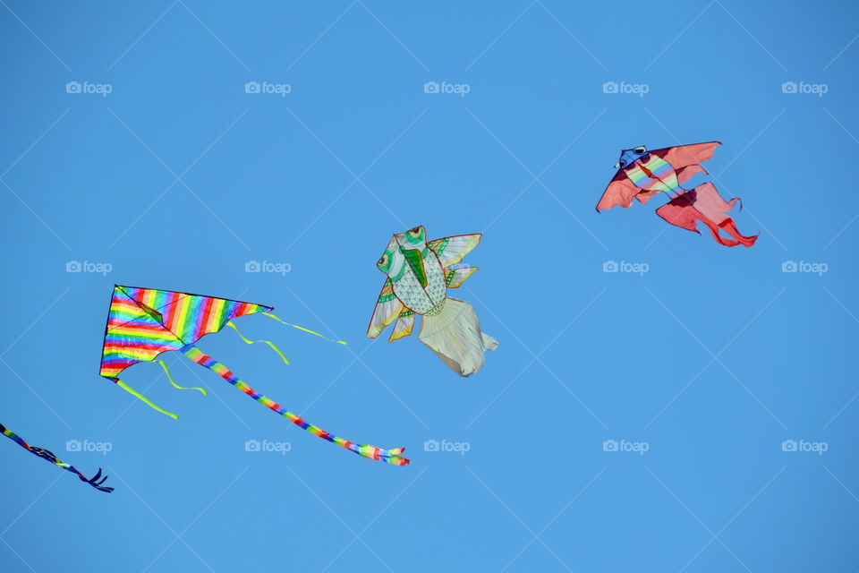 colorful kites flying in the blue sky