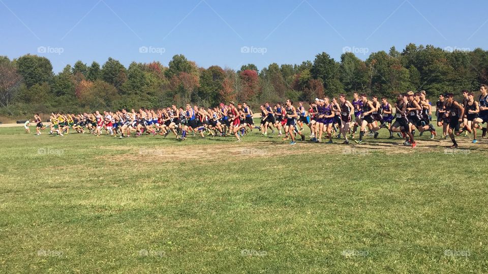 And they are off! Cross country runners race for positions. 