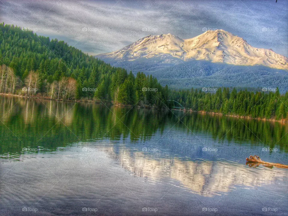 Nature
