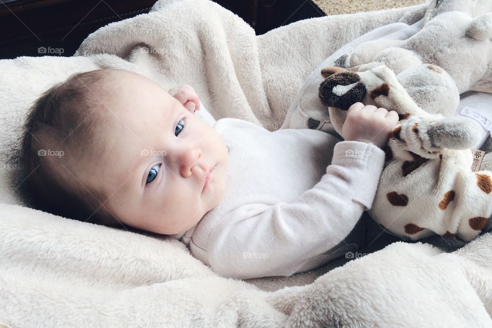 Portrait two months baby . Portrait two month baby with hippopotamus soft toy 