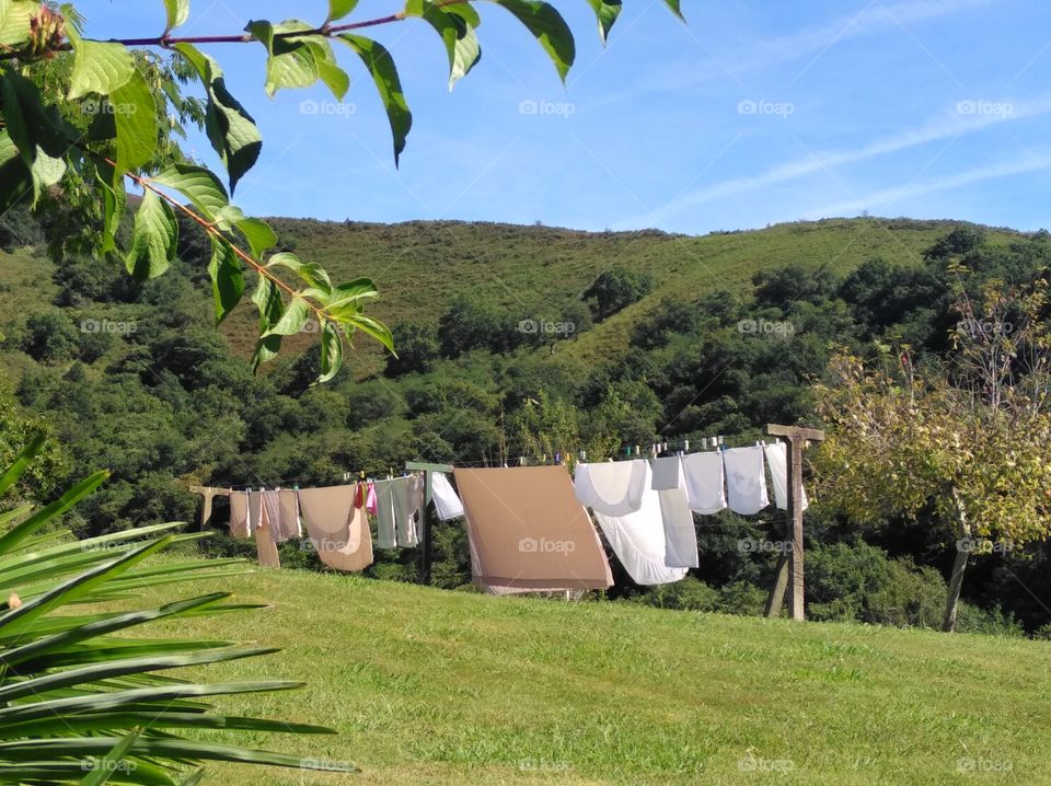 drying clothes