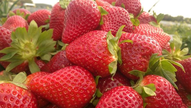 strawberries