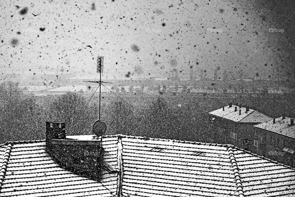 snow on the roof