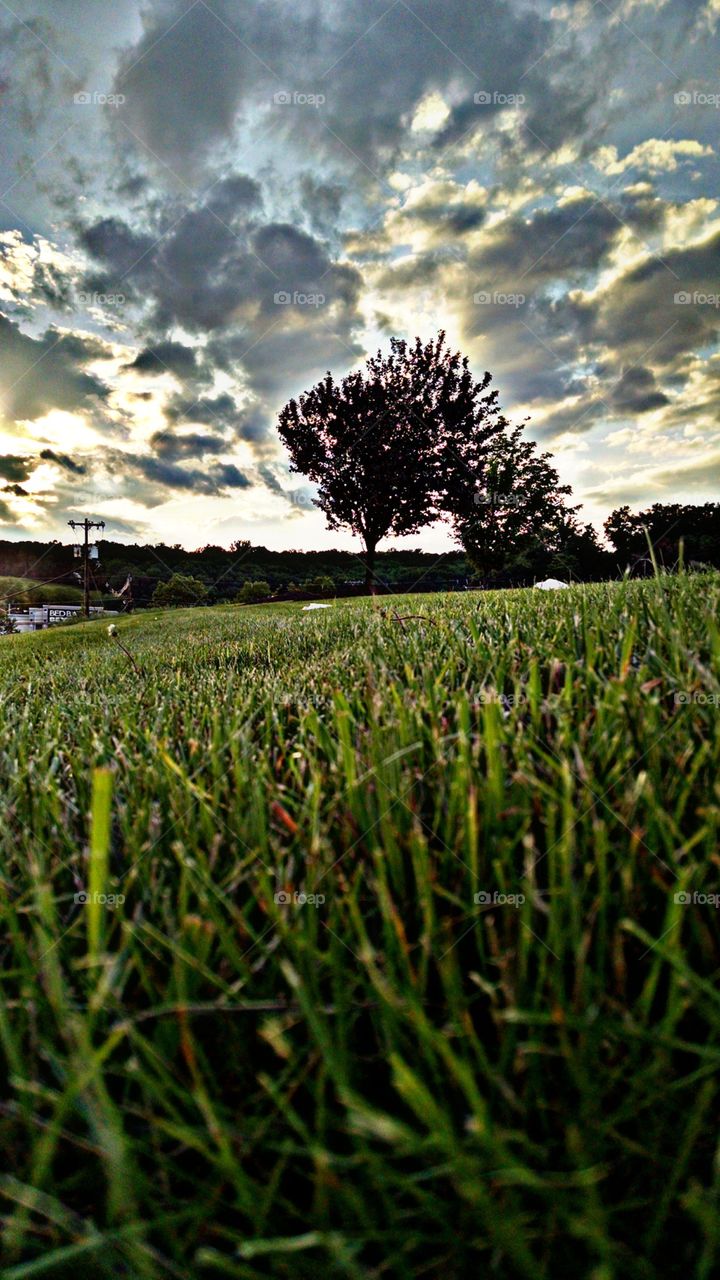 Loving Nature. this is taken in northern new Jersey in late June in the evening